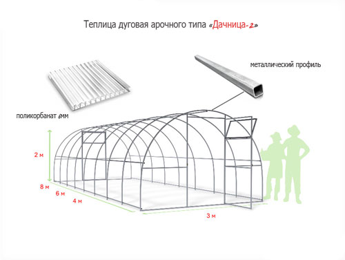 Дачница-2